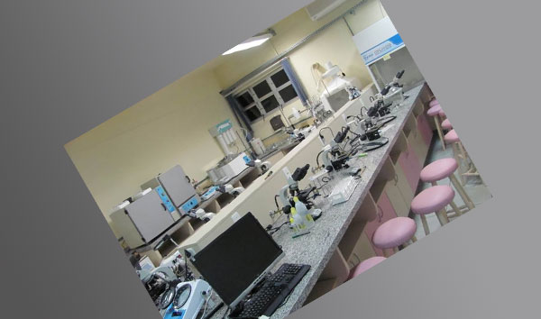 Tecnologia de Ponta Tecnologia de Ponta